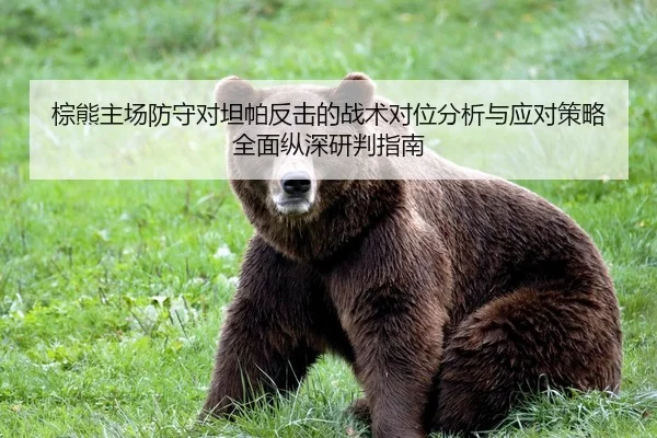 棕熊主场防守对坦帕反击的战术对位分析与应对策略全面纵深研判指南